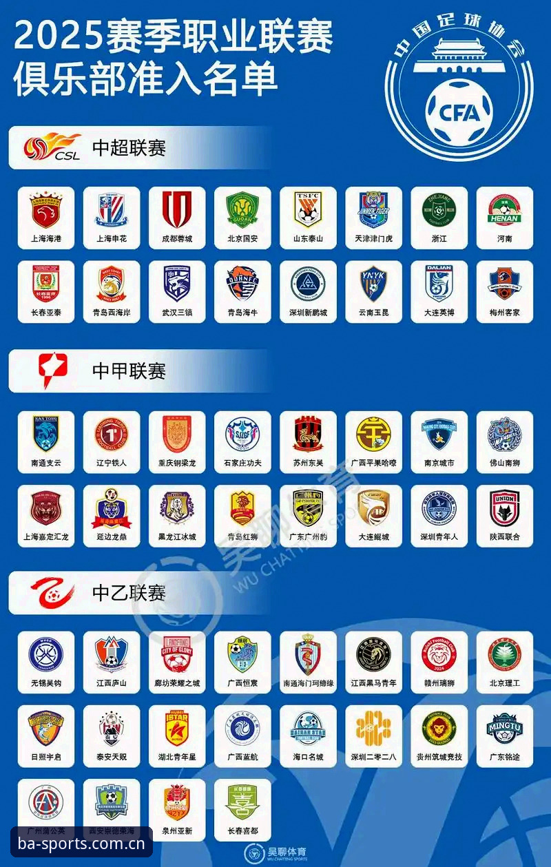 资深用户分享：从足协第三批禁足名单看中国足球的净化之路